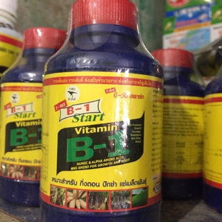 Combo bán sỉ 10 lọ b1 thái