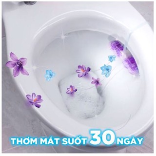 Viên vệ sinh bồn cầu VIM (55g)