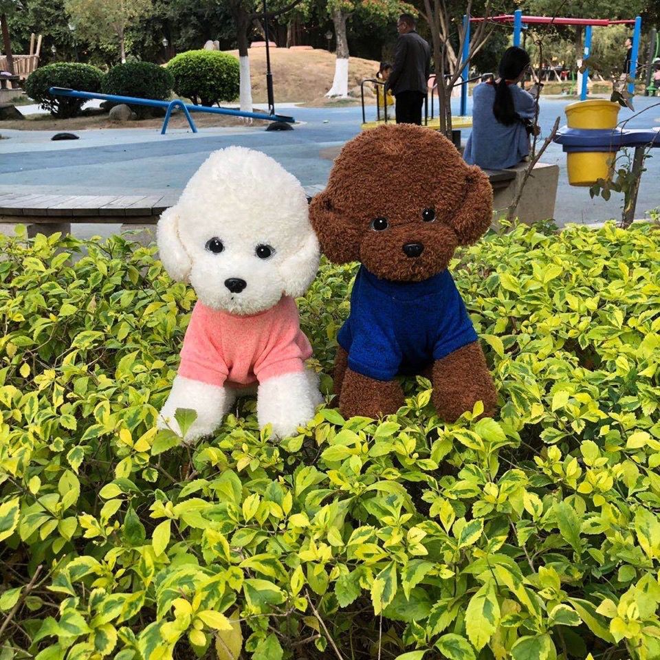 ✿Quần áo cho chó Teddy Bichon poodle cat plus nhung ấm áp lông bông con nhỏ thú cưng mùa đông Tết