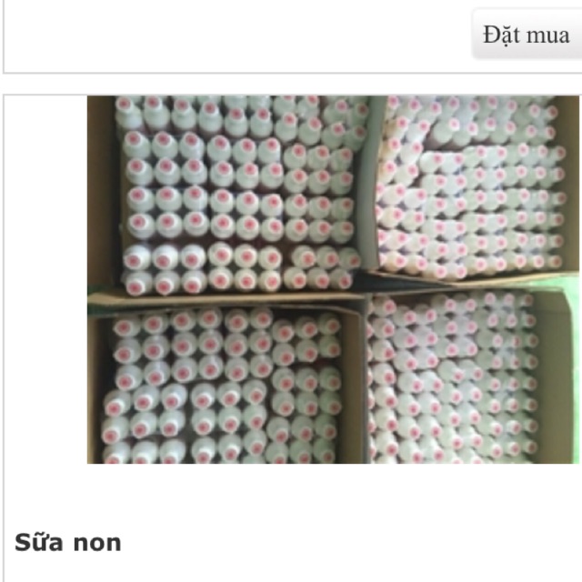 Sữa non