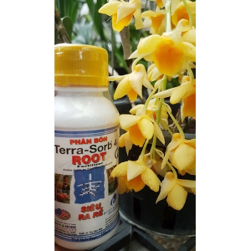Phân bón Terra Sorb 4  Siêu Ra Rễ 100ml