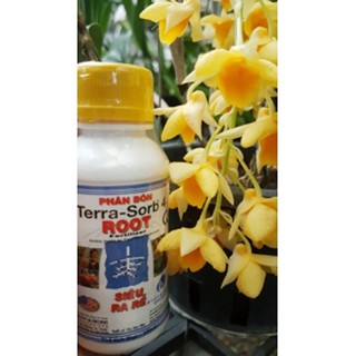 Phân bón terra sorb 4 siêu ra rễ 100ml
