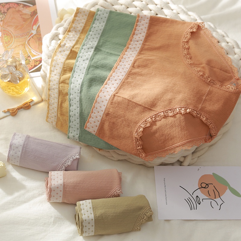 Quần Lót Nữ - Quần Lót Cotton Lưng Chấm Bi Kháng Khuẩn Viền Ren AMY BRA LQ13