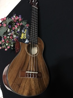 Đàn Ukulele DC800