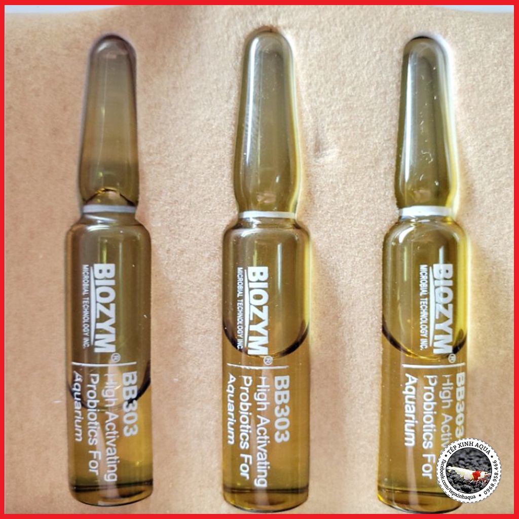 Vi sinh sống BioZym 303 - Vi sinh cá cảnh, tép cảnh