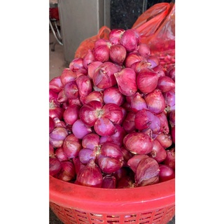 Hành vĩnh châu ngon 0,5kg