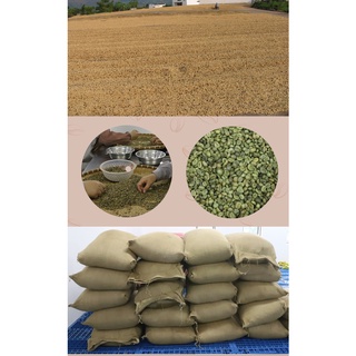Cà phê ROBUSTA - ARABICA CẦU ĐẤT (8:2) Rang Mộc Nguyên Chất S18