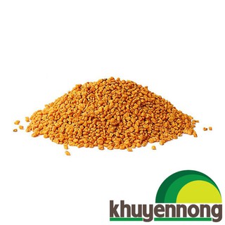 300 hạt giống rau cải thảo