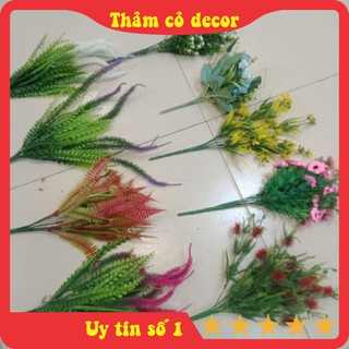 Cỏ giả, cụm lá điểm, sim, đinh lăng, sỉ đỏ, nhị len, cúc mi, cúc sao, điểm đá trang trí chậu hoa, thảm cỏ nhân tạo