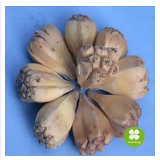Qủa dứa dại khô (1kg) -FRV046