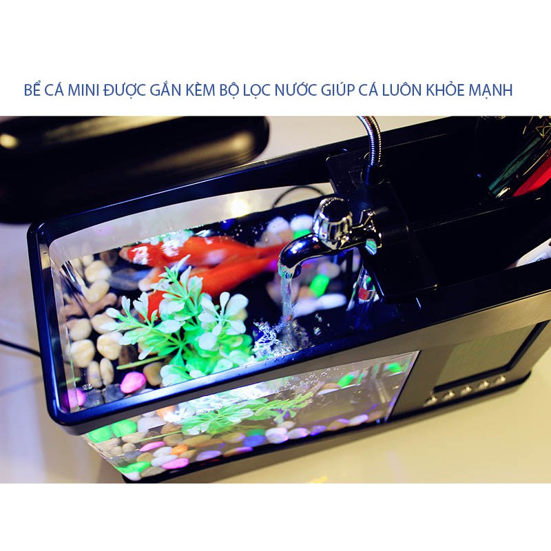 Bể Cá Mini  Free ship - bể cá phong thủy kiêm đồng hồ để bàn, có đèn led (có tặng kèm đá và cây cảnh)