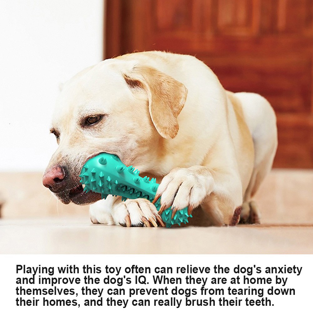 Đồ chơi nhai làm sạch răng vui nhộn cho cún cưng