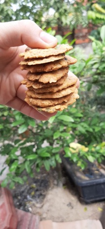 Bánh cookies yến mạch choco chip