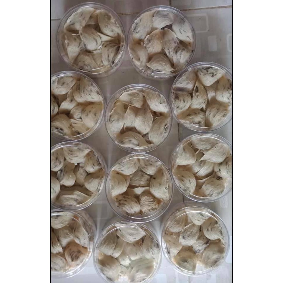 Tổ Yến Thô A - Yến Sào Khánh Hòa Nguyên Chất - 100 gr