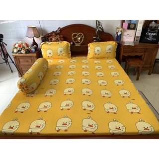 DRAP THUN CON VỊT 6 MÀU