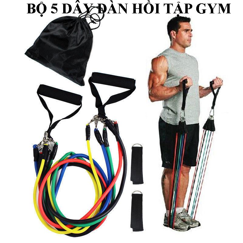 Bộ Dây Tập Gym Ngũ Sắc Tập Thể Hình Tập Gym Đa Năng Dành Cho Nam và Nữ Dây Kháng Lực -Thương Hiệu Số 1