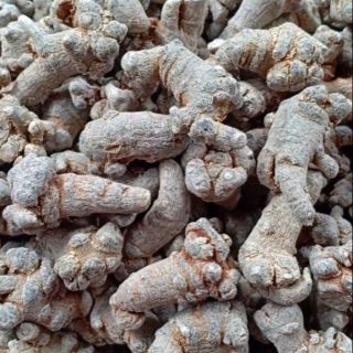 Sỉ như lẻ 1kg củ tam thất bắc