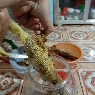 Mật ong ruồi rừng 1 lit