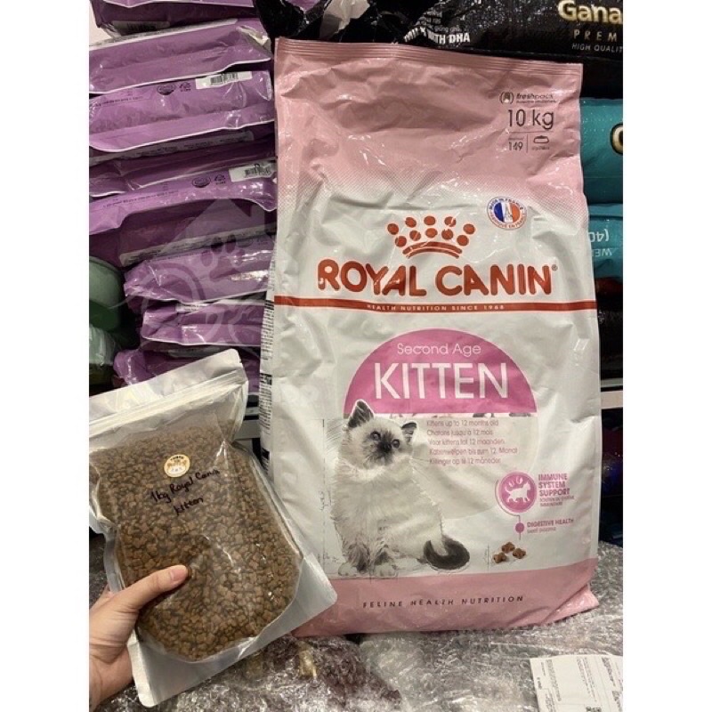 [Túi zin 2kg] Hạt Kitten 36 Royal Canin dành cho Mèo con từ 4 - 12 tháng tuổi Royal Canin Kitten thức ăn cho mèo BOMPET