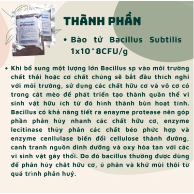 Men khử khuẩn cát vệ sinh BIOLINE BS1 diệt mầm bệnh, mùi hôi phân nước tiểu trong cát mèo
