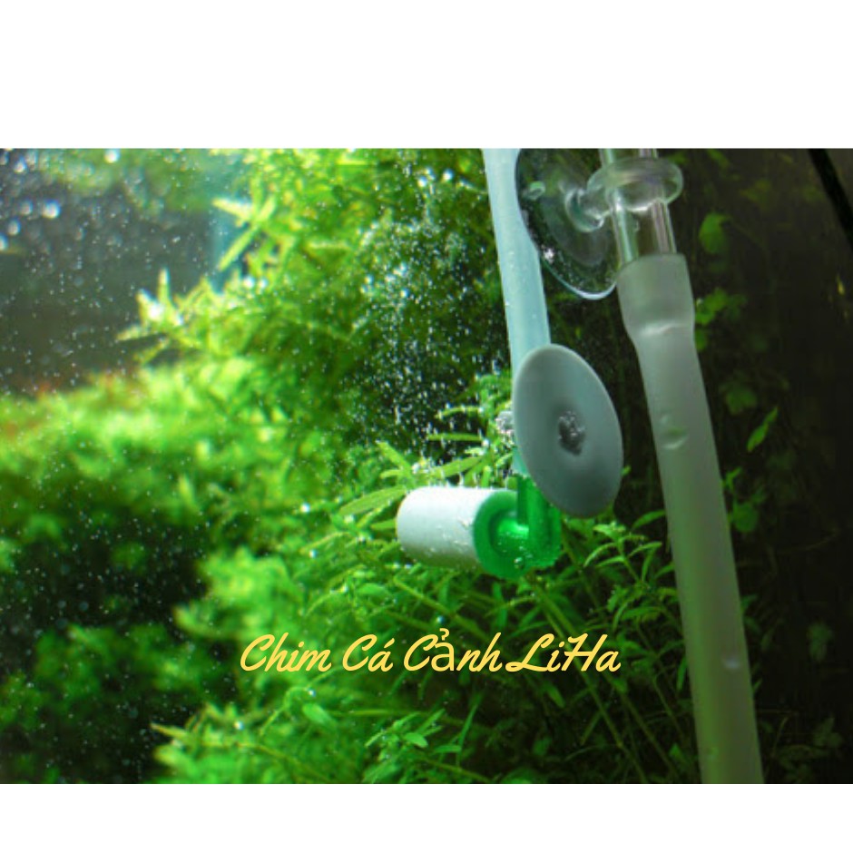 Cốc Sủi Trộn Co2 UpAqua D-531 Chữ L Cho Hồ Thủy Sinh