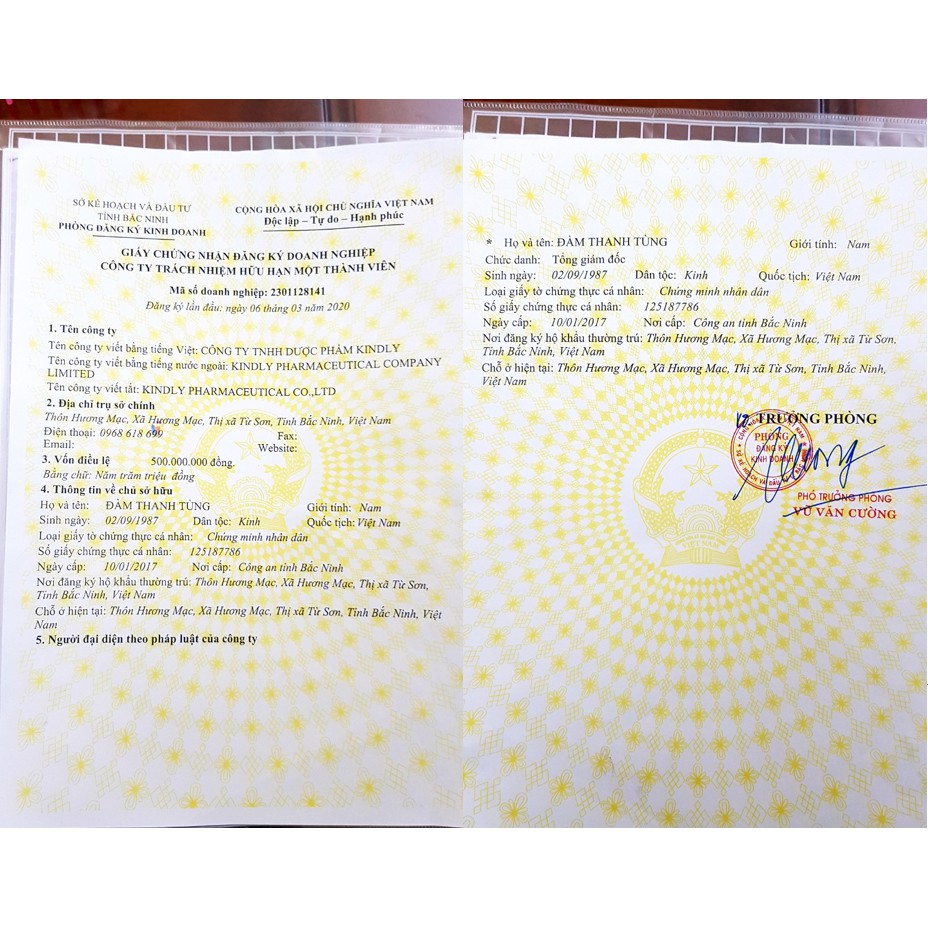 Sữa Rửa Mặt Sủi Bọt, Tinh Chất Rau Má - Mờ Thâm, Mụn, Dưỡng Trắng Da V9Queen V9QUEEN | BigBuy360 - bigbuy360.vn