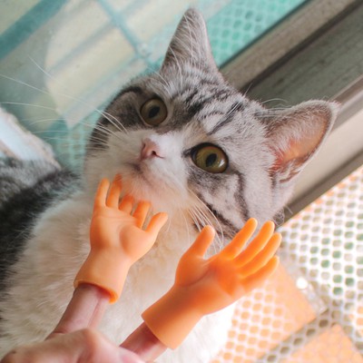 Đồ chơi bàn tay tí hon giả đeo ngón tay bằng silicon hài hước dùng để chơi với mèo cưng