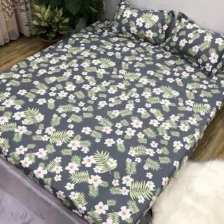 Ga gối cotton poly