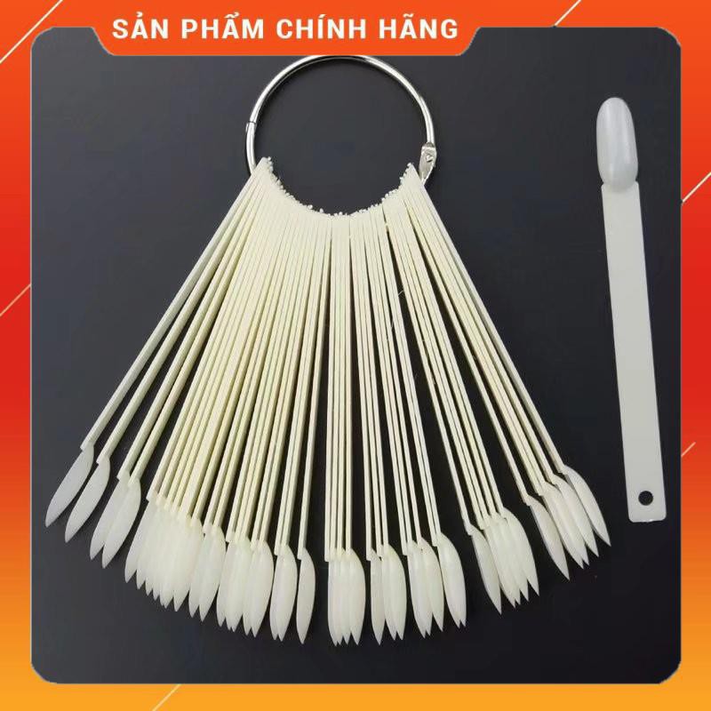 THANH QUE MÓNG GIẢ TẬP SƠN