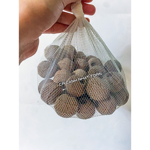 SỨ LỌC 3D VẬT LIỆU LỌC CHO BỂ CÁ CẢNH