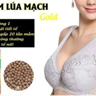 Combo 5 hộp KẸO MẦM LÚA MẠCH GOLD ( kẹo nở ngực)