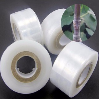 Băng keo ghép cây 5cuộn