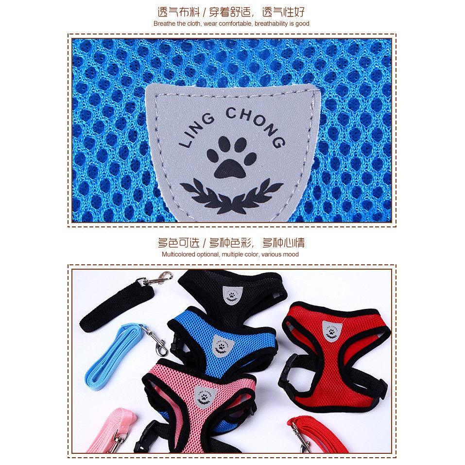 Doremiu - Bộ Dây dắt chó mèo kèm áo lưới thời trang giá rẻ