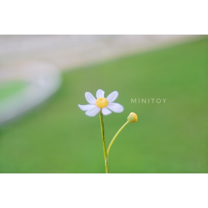 Hoa daisy thu nhỏ bằng đất sét