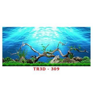 Tranh 3D dán bể cá