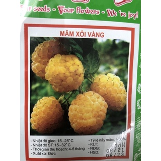 Hạt giống Mâm xôi vàng (30 hạt / gói)