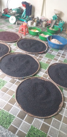 Trà đỗ đen rang