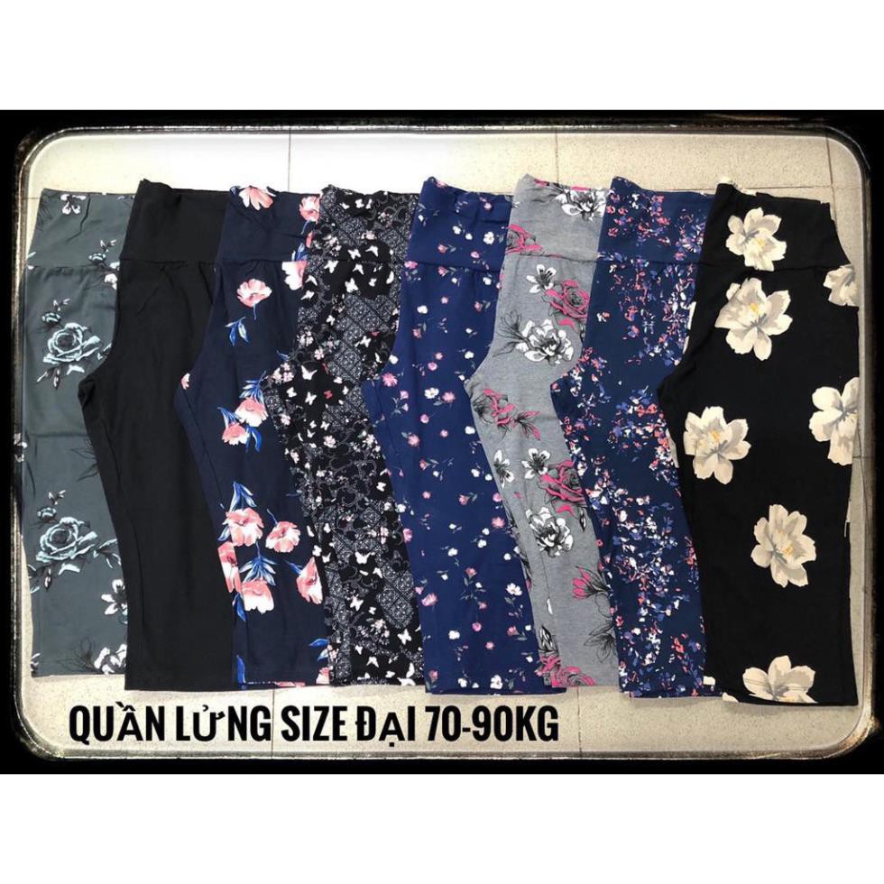 (65-85kg) Quần bigsize lửng thun cotton nhiều mẫu ❣️