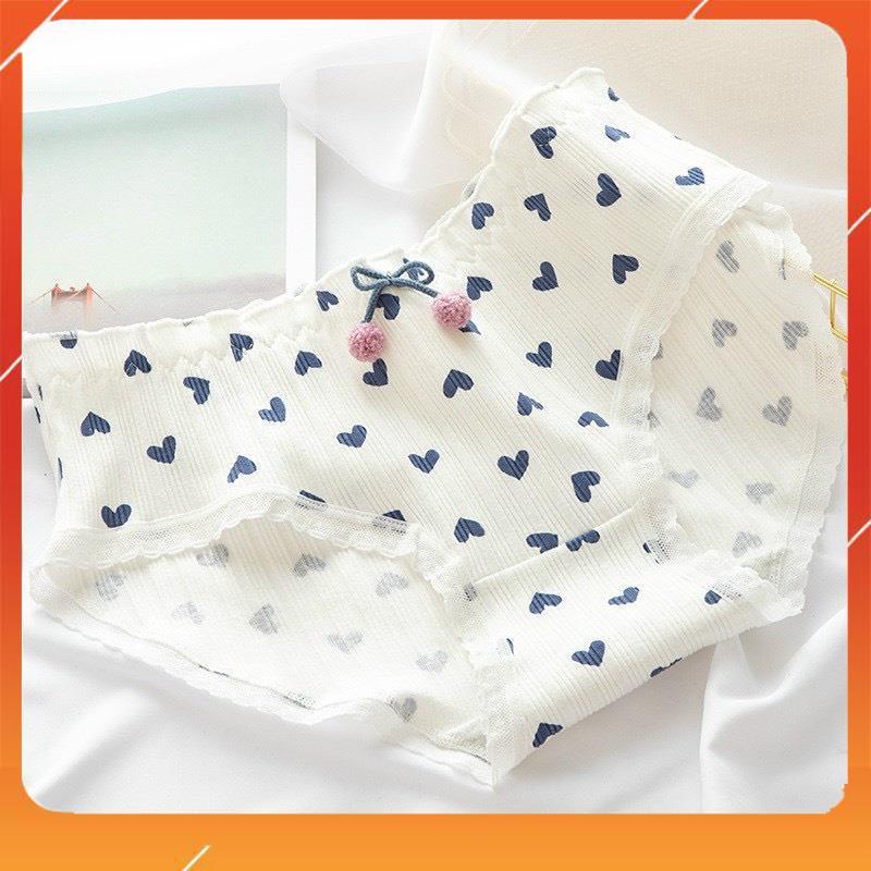 Hộp 5 chiếc quần lót học sinh xuất Nhật chất cotton cao cấp kháng khuẩn mềm mại thấm hút mồ hôi họa tiết đáng yêu Q4048