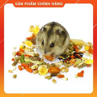 Thức ăn của chuột hamster - maianh.b88