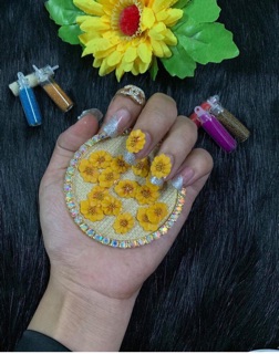 40 Hoa bột đá gắn móng nail ..