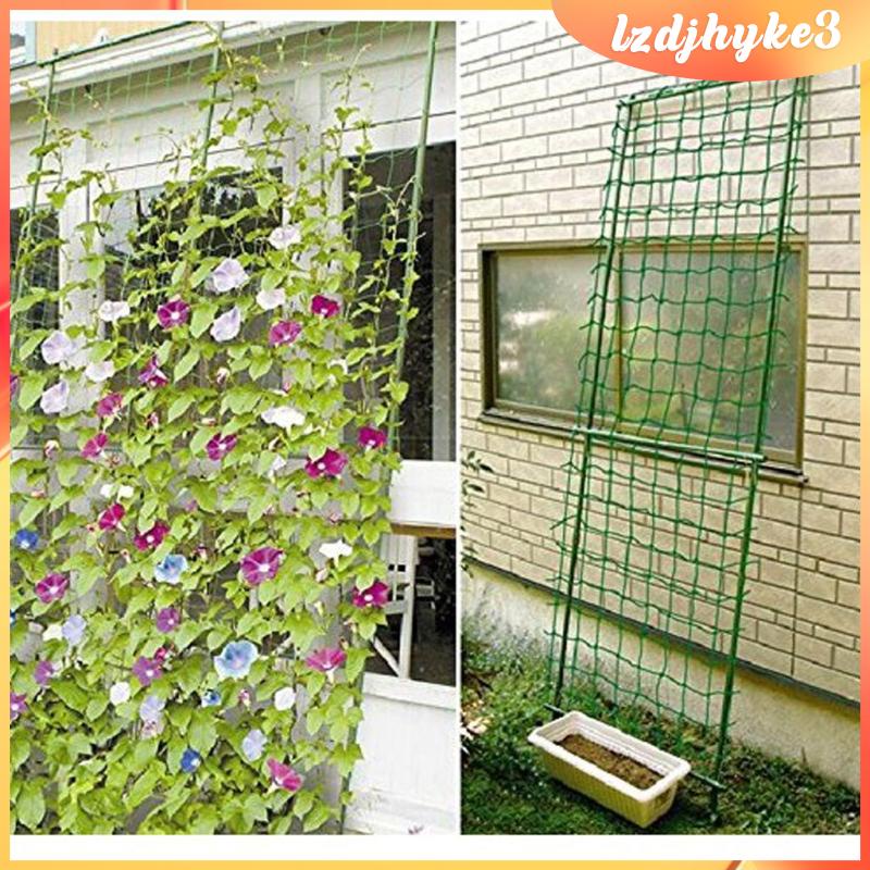 Lưới Trồng Cây Dây Leo Bằng Nylon lzdjhyke3