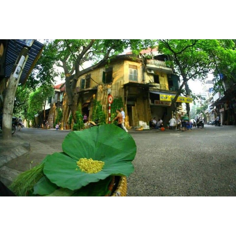 Cốm xanh Hà Nội