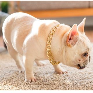 Vòng cổ rick kid cho chó mèo