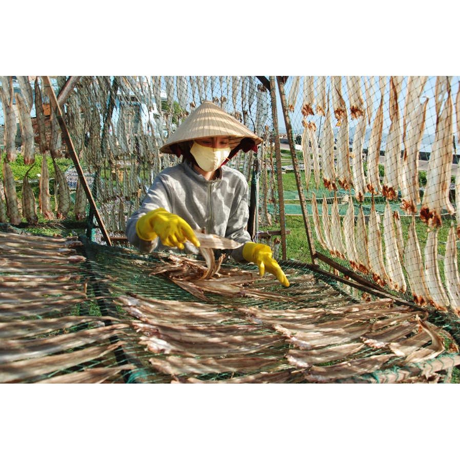 Cá đét khô, đặc sản cá đét khô ăn là ghiền, dùng để biếu tặng, đặc sản Phan Thiết  - FapFood