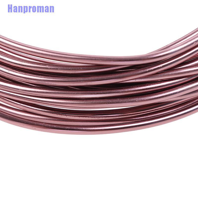 Hm> Bonsai Wires Anodized Aluminum Bonsai Training Wire Total 16.5 Feet (Brown)