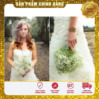 Hạt Giống Hoa Baby Trắng 50 hạt