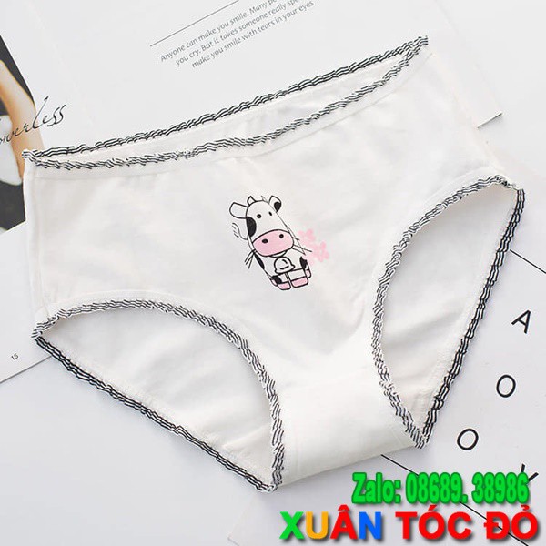 SỈ ZALO RẺ HƠN NHIỀU_ Quần Lót Xin Chào Bò Sữa Dễ Thương 5062 | BigBuy360 - bigbuy360.vn