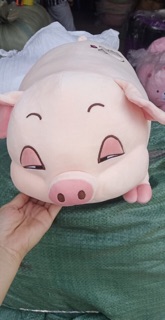 BỘ CHĂN GỐI (HEO) LỢN BÔNG