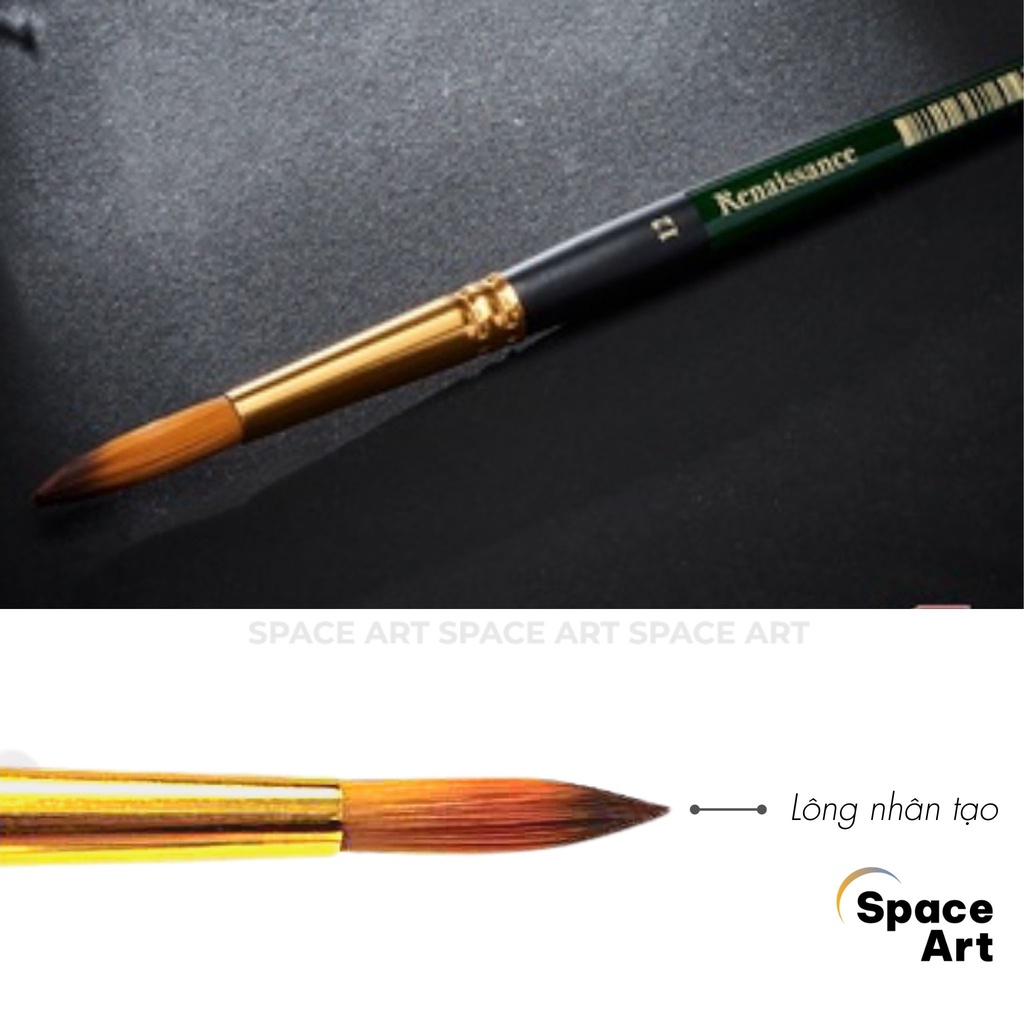 Cọ nhọn Renaissance Thái Lan thân xanh lông nhân tạo